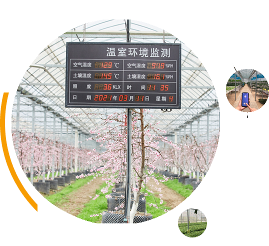 连栋大棚建造厂家