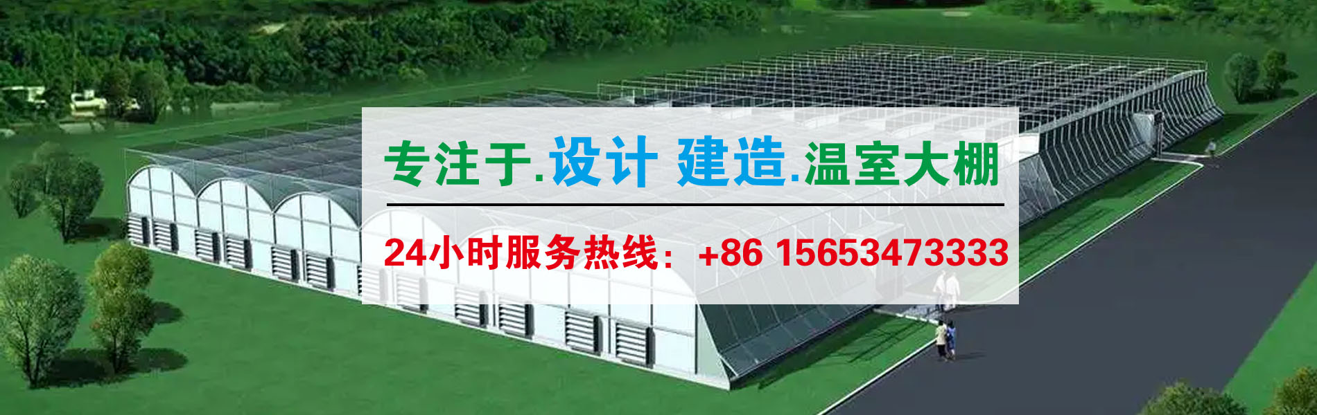 连栋温室大棚建设厂家