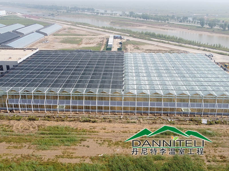 东营连栋玻璃温室大棚